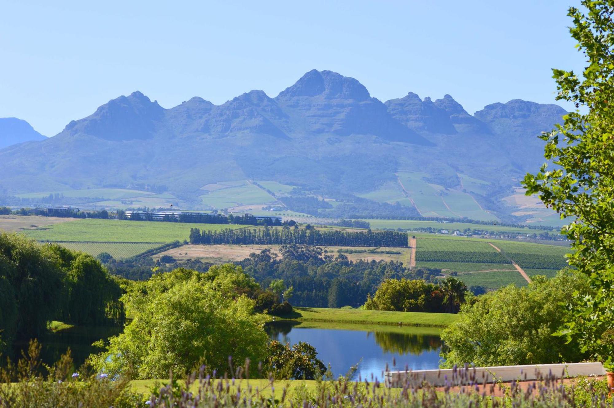 Asara Wine Estate & Hotel Stellenbosch Luaran gambar
